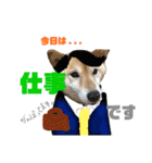柴犬 おはぎ  vol.2（個別スタンプ：22）