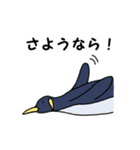 あにまるず(うぉーたー編)（個別スタンプ：36）