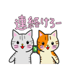 山形弁のねこ（置賜地方）②（個別スタンプ：6）