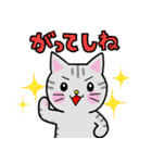 山形弁のねこ（置賜地方）②（個別スタンプ：11）