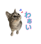 めんみ＆さらみ（個別スタンプ：14）