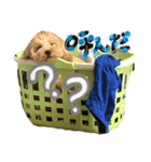 むぎさんの日常パート1（個別スタンプ：1）