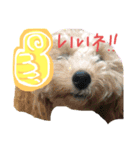 むぎさんの日常パート1（個別スタンプ：8）