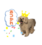 ひまわりとたんぽぽ②（個別スタンプ：3）