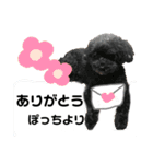 ひまわりとたんぽぽ②（個別スタンプ：5）