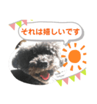 ひまわりとたんぽぽ②（個別スタンプ：6）