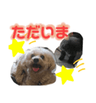 ひまわりとたんぽぽ②（個別スタンプ：7）