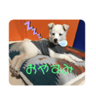 蓬さんスタンプ①（個別スタンプ：14）