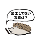 かんたんな吹き出し（個別スタンプ：7）