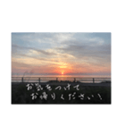 目上の方用(上司など)（個別スタンプ：8）