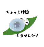 ゴマフビロードウミウシ（個別スタンプ：2）
