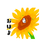 ゴマフビロードウミウシ（個別スタンプ：39）