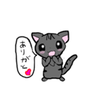 猫のマイカ（個別スタンプ：4）