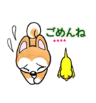 ゲンキー(柴犬＆インコ)（個別スタンプ：24）