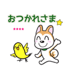 ゲンキー(柴犬＆インコ)（個別スタンプ：29）