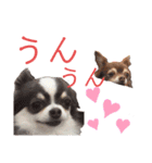 ワンだらけ パラダイスそのに（個別スタンプ：3）