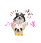 ワンだらけ パラダイスそのに（個別スタンプ：12）