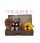 ワンだらけ パラダイスそのに（個別スタンプ：14）