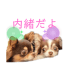 ワンだらけ パラダイスそのに（個別スタンプ：20）