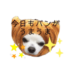 ワンだらけ パラダイスそのに（個別スタンプ：21）