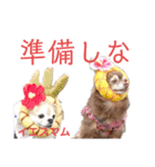 ワンだらけ パラダイスそのに（個別スタンプ：27）