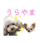 ワンだらけ パラダイスそのに（個別スタンプ：30）