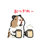 驚愕！ モルモットの世界（個別スタンプ：11）