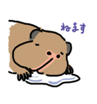 驚愕！ モルモットの世界（個別スタンプ：16）
