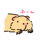 驚愕！ モルモットの世界（個別スタンプ：19）