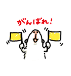 驚愕！ モルモットの世界（個別スタンプ：20）