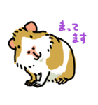 驚愕！ モルモットの世界（個別スタンプ：22）