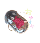 ゆったんスタンプpart2（個別スタンプ：21）