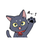 黒猫『春ちゃん』の気ままなスタンプ（個別スタンプ：5）
