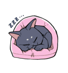黒猫『春ちゃん』の気ままなスタンプ（個別スタンプ：6）