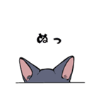 黒猫『春ちゃん』の気ままなスタンプ（個別スタンプ：14）