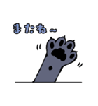 黒猫『春ちゃん』の気ままなスタンプ（個別スタンプ：16）