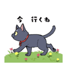 黒猫『春ちゃん』の気ままなスタンプ（個別スタンプ：18）