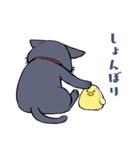 黒猫『春ちゃん』の気ままなスタンプ（個別スタンプ：21）