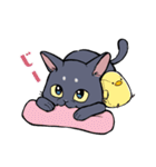 黒猫『春ちゃん』の気ままなスタンプ（個別スタンプ：30）