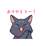 黒猫『春ちゃん』の気ままなスタンプ（個別スタンプ：32）
