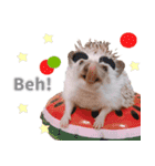 ハリネズミわさび☆英語版（個別スタンプ：15）