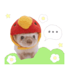 ハリネズミわさび☆英語版（個別スタンプ：23）