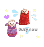 ハリネズミわさび☆英語版（個別スタンプ：26）