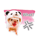 ハリネズミわさび☆英語版（個別スタンプ：31）