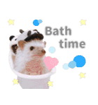 ハリネズミわさび☆英語版（個別スタンプ：37）