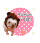 ハリネズミわさび☆英語版（個別スタンプ：38）
