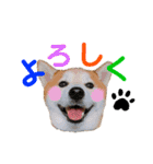 柴犬の源次郎2（個別スタンプ：1）