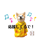 柴犬の源次郎2（個別スタンプ：33）