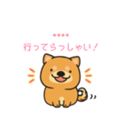 柴犬 わんこ3 いつでも（個別スタンプ：25）