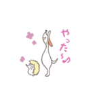 yoggy doggy 日常会話編（個別スタンプ：3）